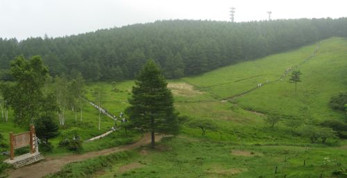 入笠湿原