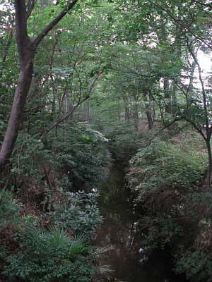 東京水